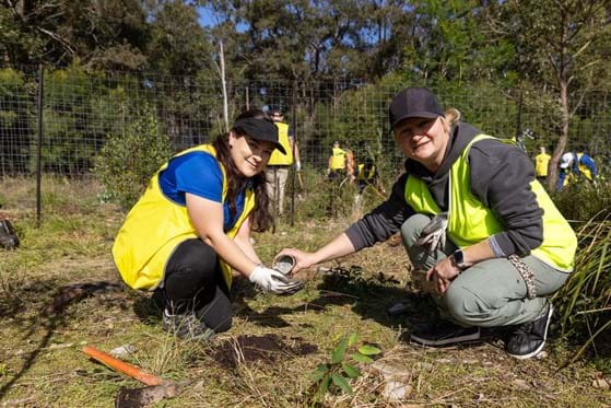 Australian Mutual Bank staff attend 2025 Greenfleet tree planting day
