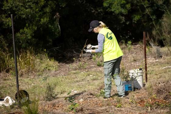 Australian Mutual Bank staff attend the 2025 Greenfleet tree planting day