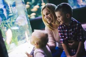 Mum with little kids at aquarium